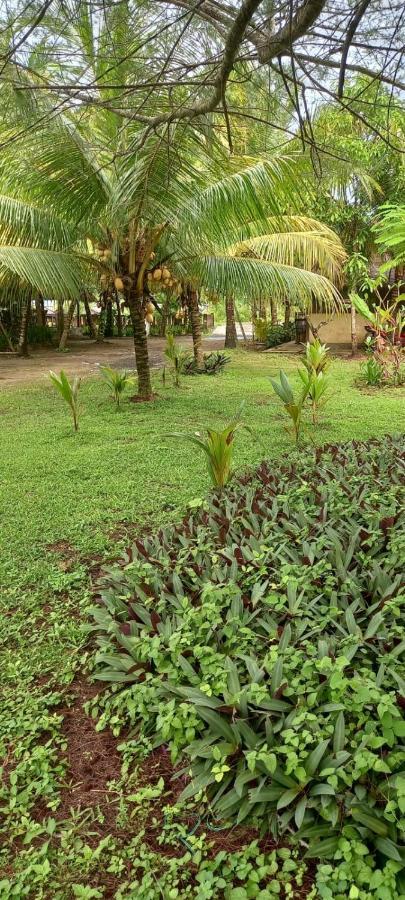 Selong Belanak Bungalows المظهر الخارجي الصورة