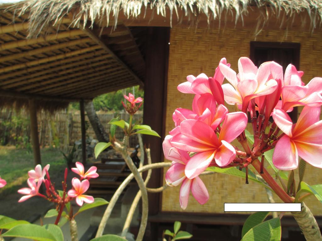 Selong Belanak Bungalows المظهر الخارجي الصورة